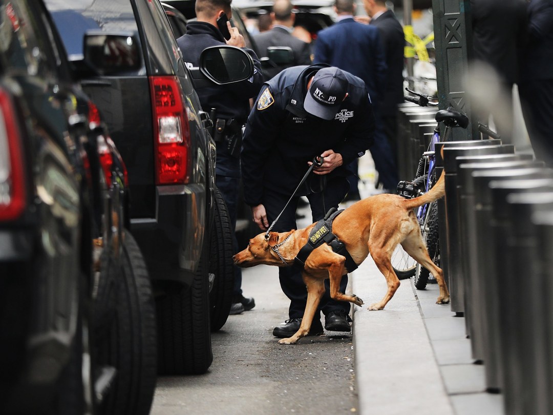 nypdoge-1052932926