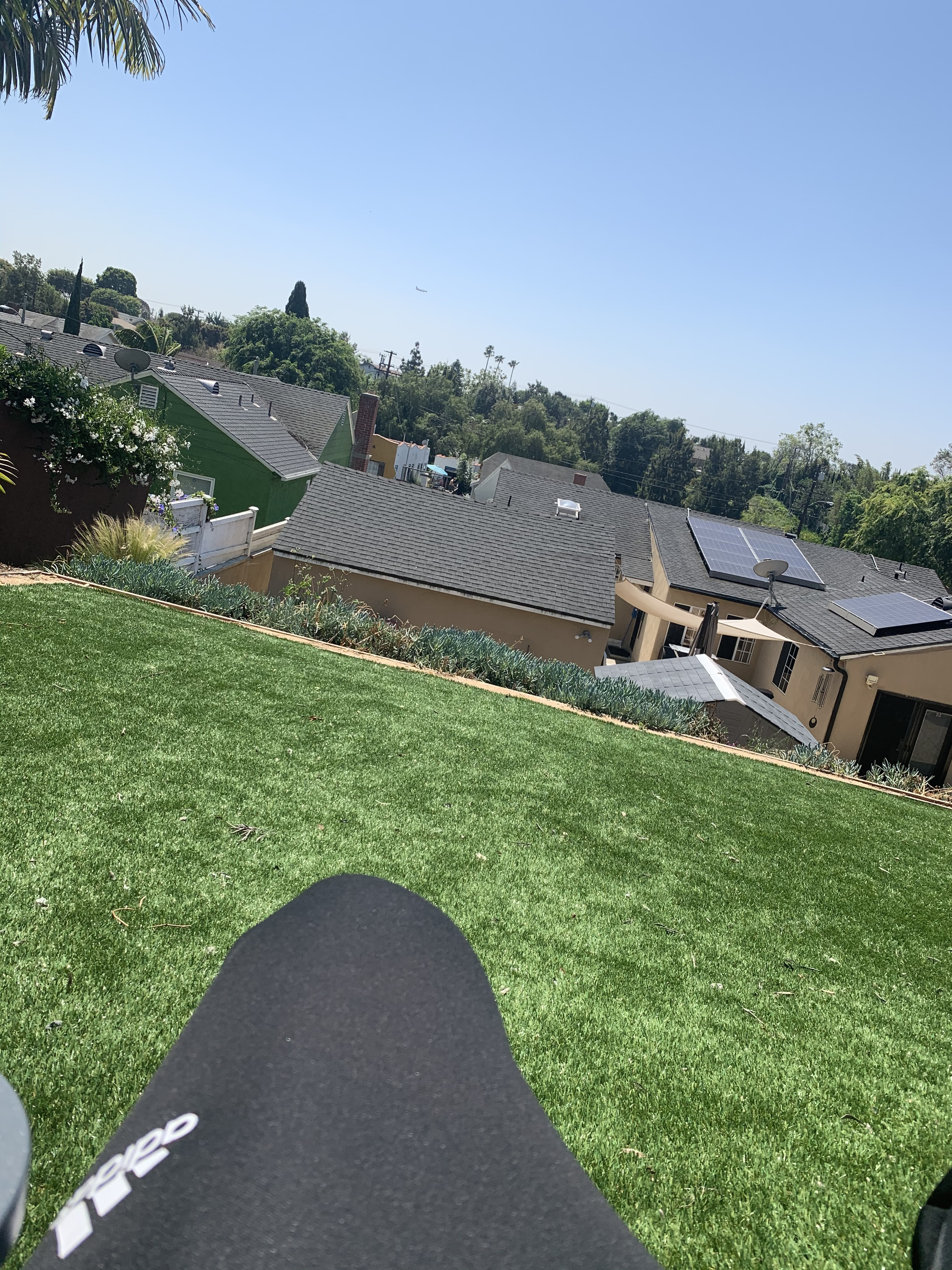 Quarantine parody picture